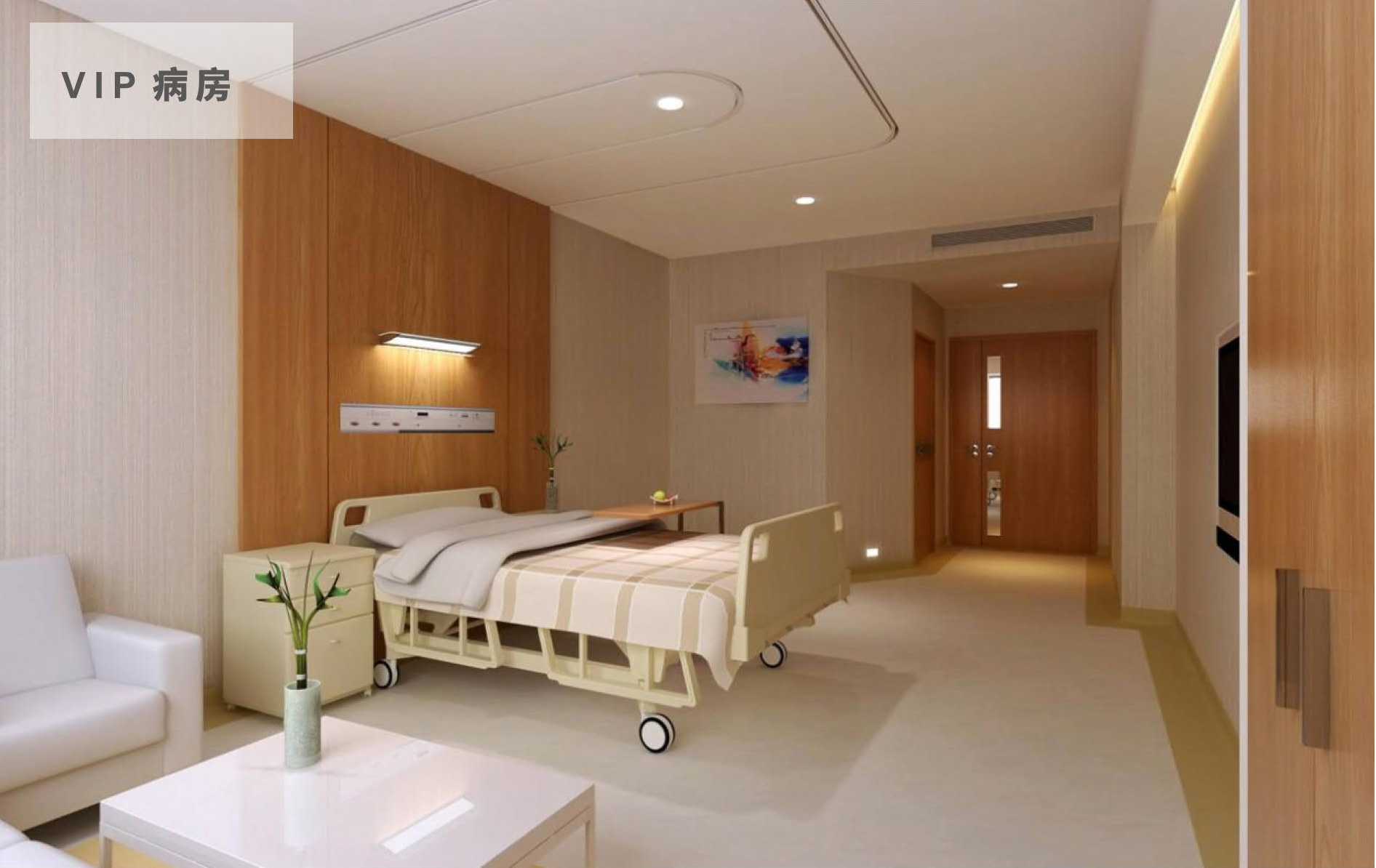 VIP Ward